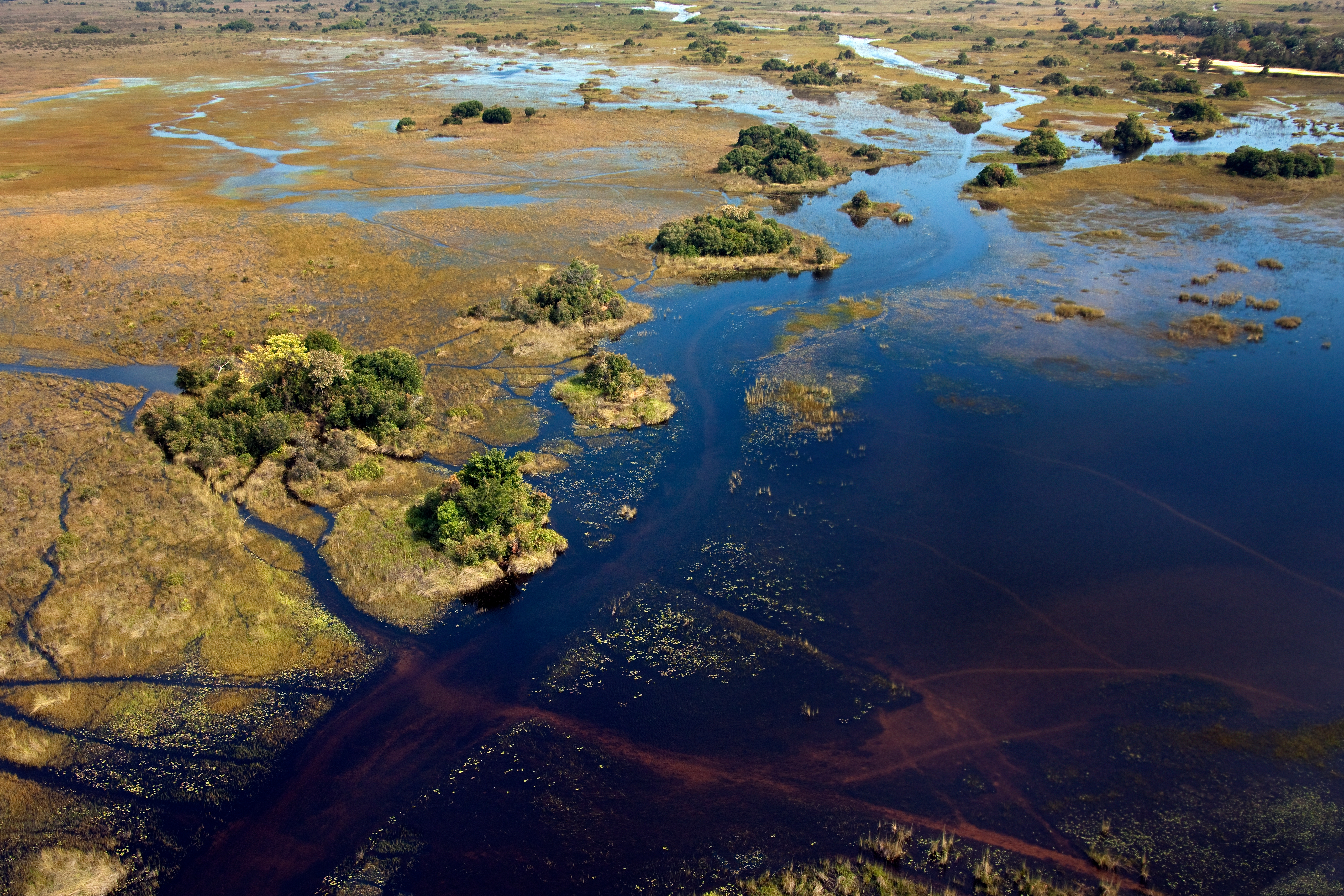 Okavango Delta, Botswana – Carbon Registry Pilot